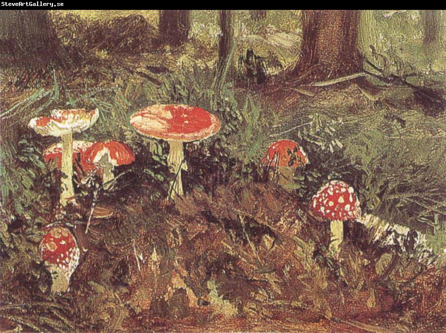 Ivan Shishkin Fly-Agarics,Study